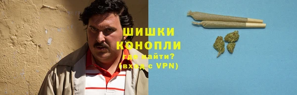 spice Белокуриха