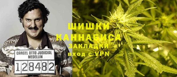spice Белокуриха