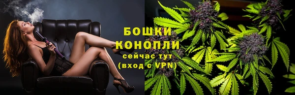 spice Белокуриха